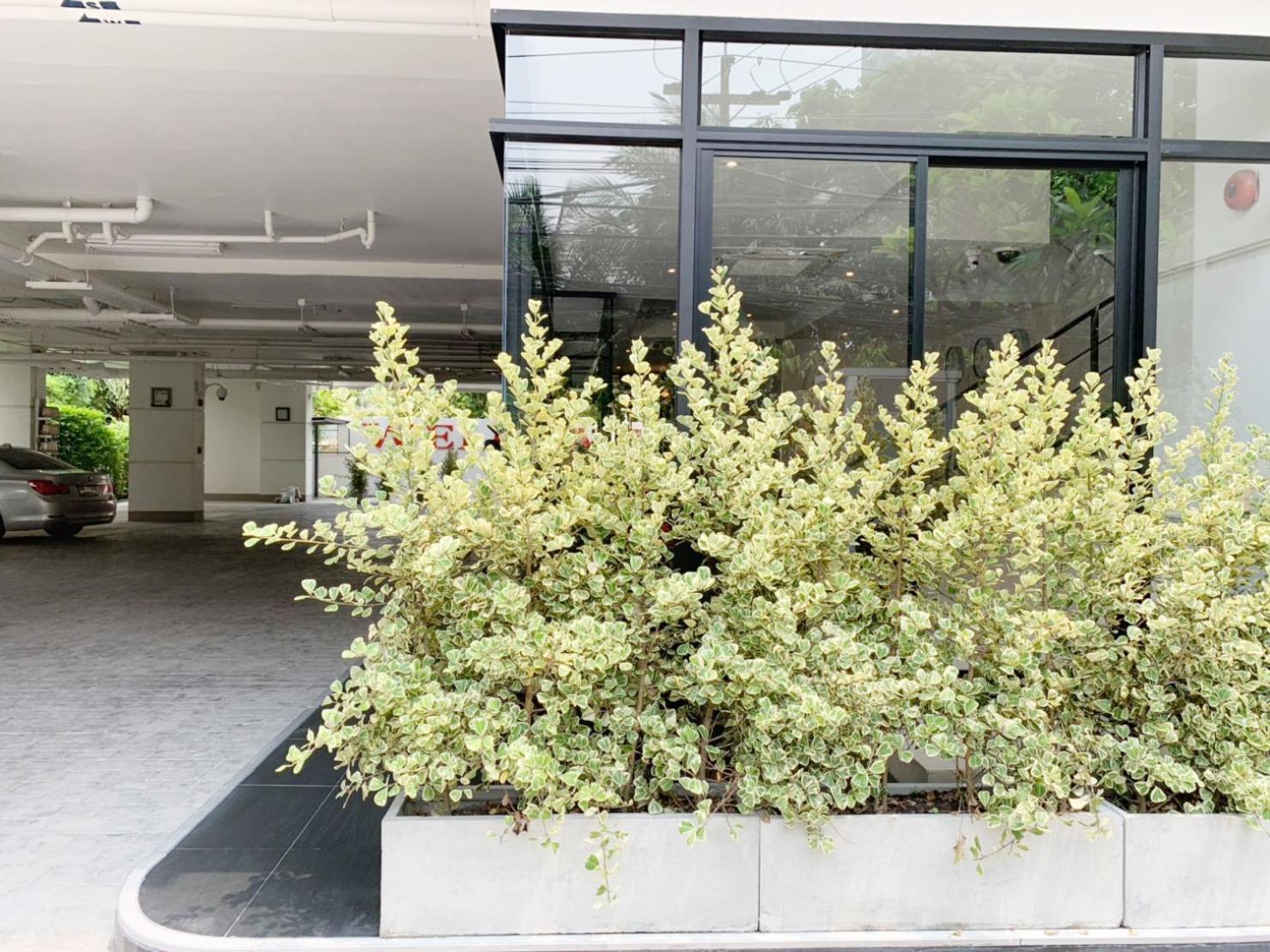 Pacific Residence 39 Bangkok Ngoại thất bức ảnh